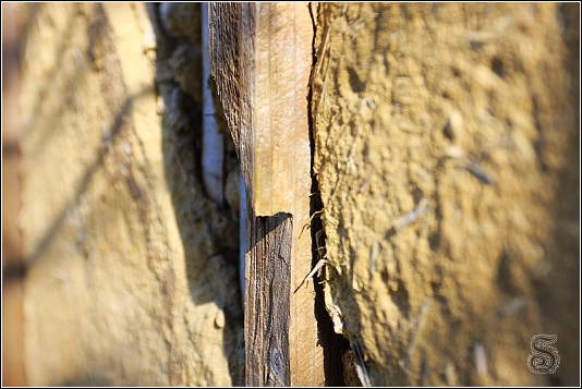 外露的木樁與土牆
