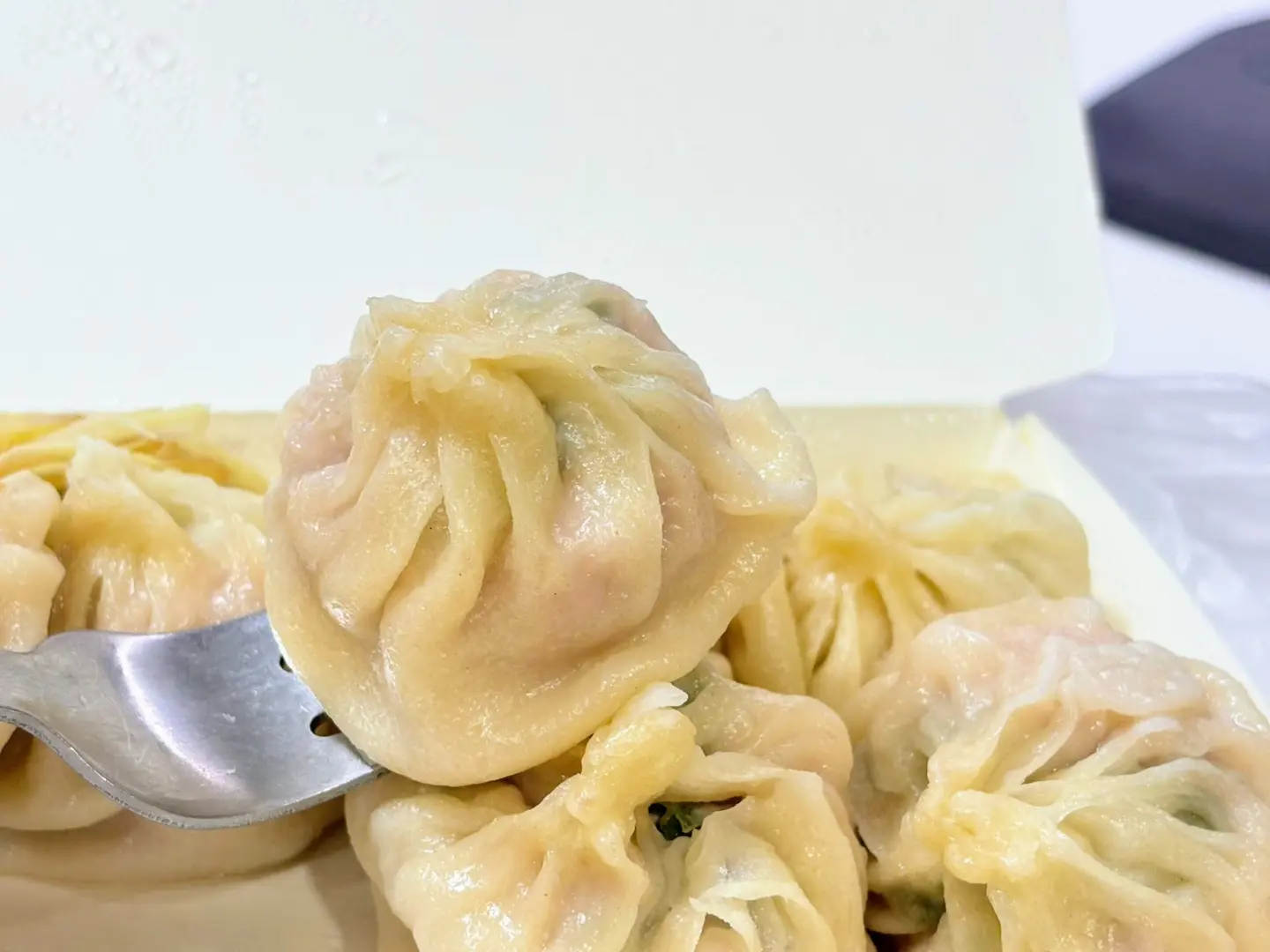 山東手工湯包蒸餃